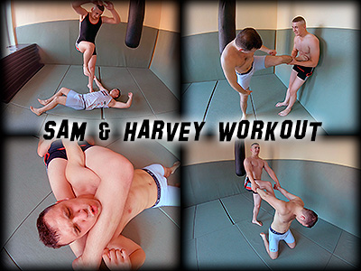 Sam Harvey Workout