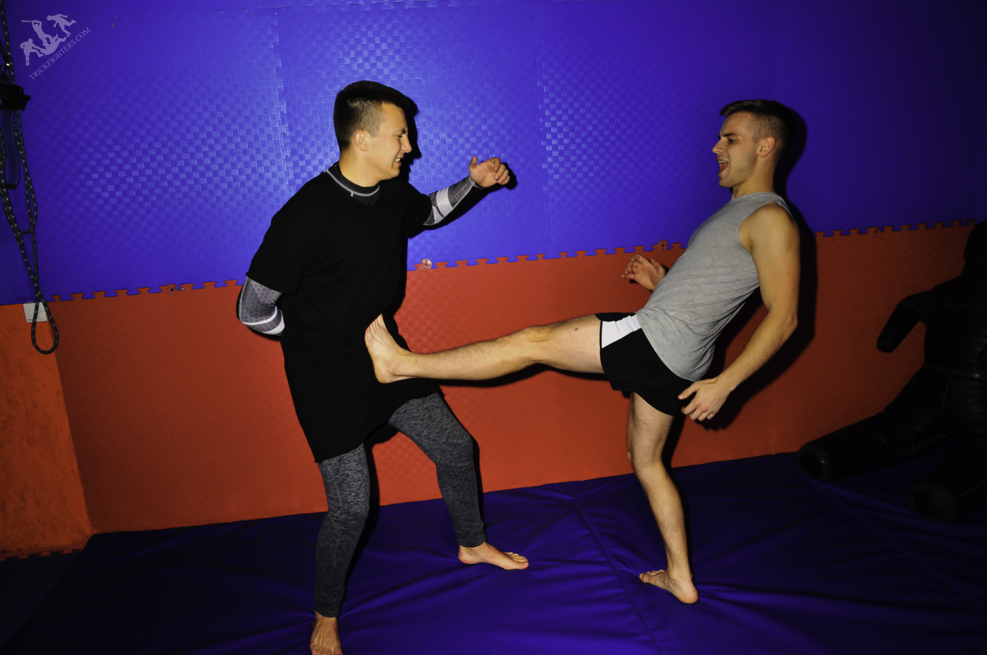 Newbies in Action 6