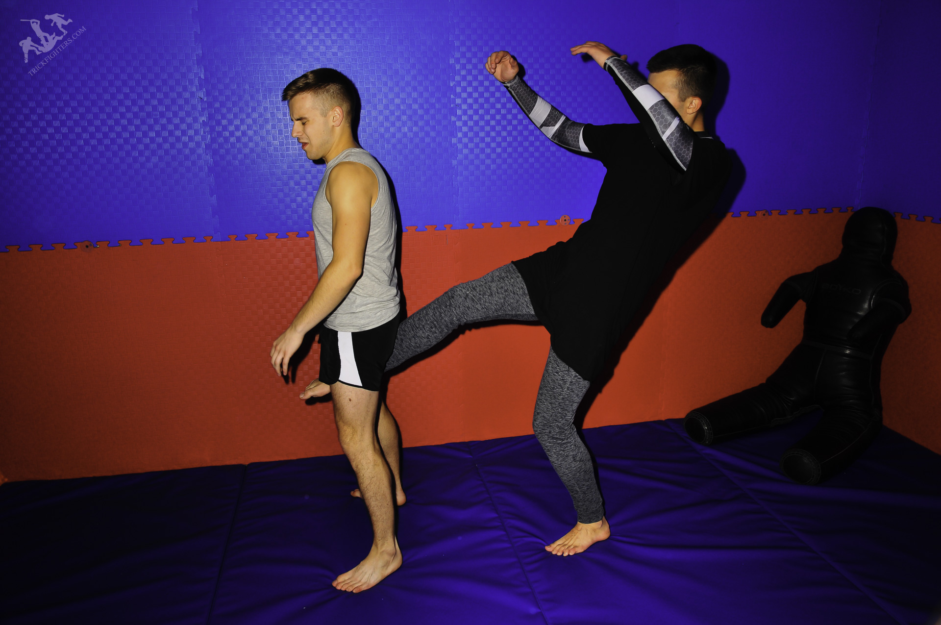 Newbies in Action 8
